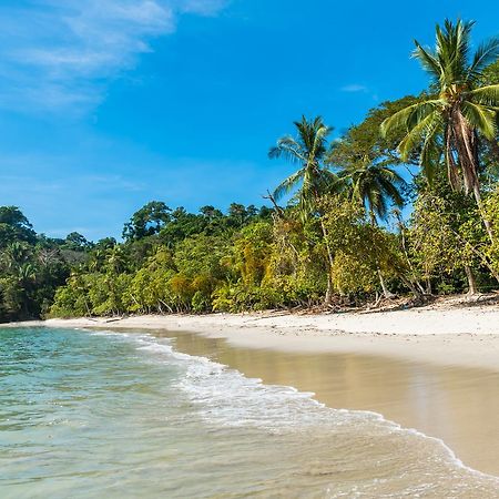 Buena Vista Beach Villas Manuel Antonio Exteriér fotografie