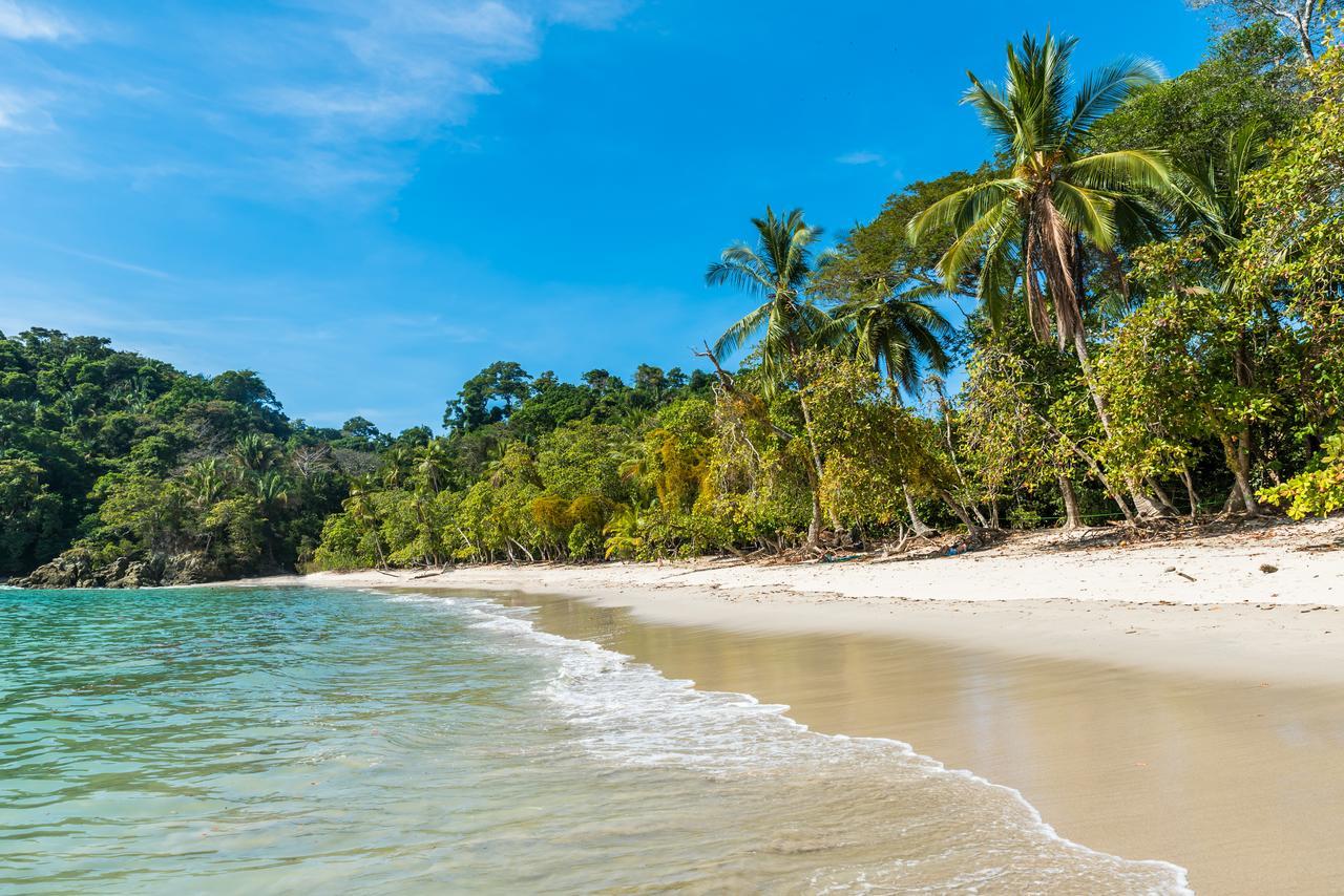 Buena Vista Beach Villas Manuel Antonio Exteriér fotografie